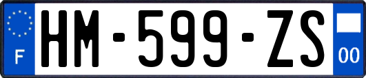 HM-599-ZS