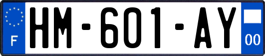 HM-601-AY