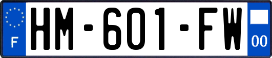 HM-601-FW