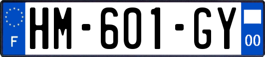 HM-601-GY