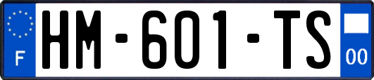HM-601-TS