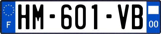 HM-601-VB