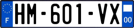 HM-601-VX