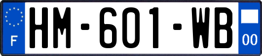 HM-601-WB