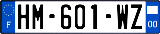 HM-601-WZ