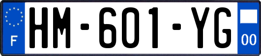 HM-601-YG