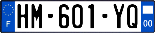 HM-601-YQ
