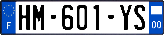 HM-601-YS