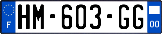 HM-603-GG