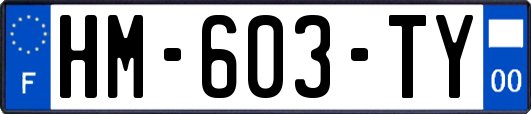 HM-603-TY