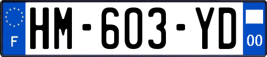 HM-603-YD