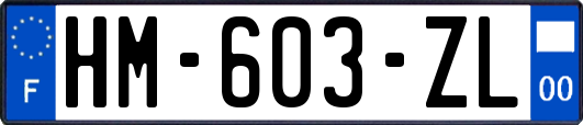 HM-603-ZL