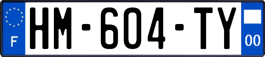 HM-604-TY