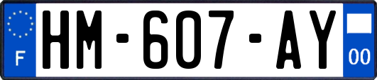 HM-607-AY