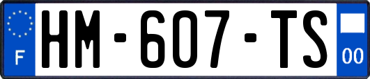 HM-607-TS
