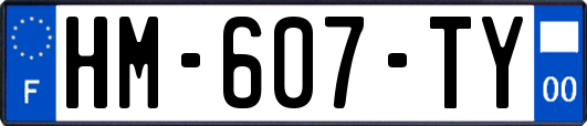 HM-607-TY