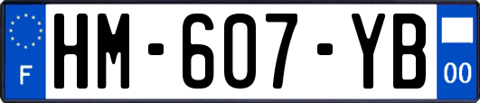 HM-607-YB