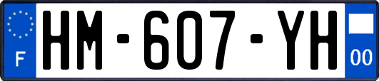 HM-607-YH