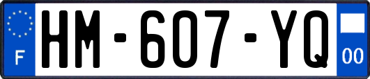 HM-607-YQ