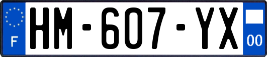 HM-607-YX