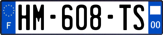 HM-608-TS
