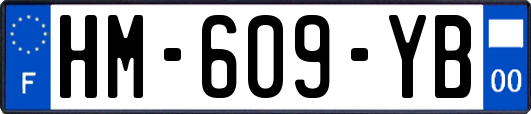 HM-609-YB