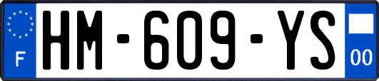 HM-609-YS