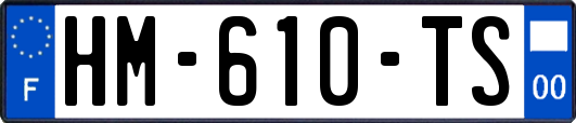 HM-610-TS