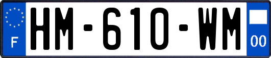 HM-610-WM
