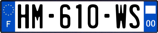 HM-610-WS