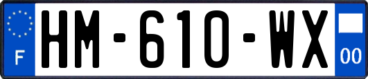 HM-610-WX