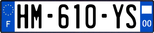HM-610-YS