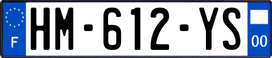 HM-612-YS
