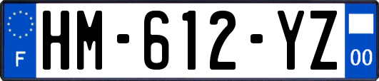 HM-612-YZ