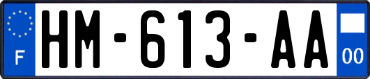 HM-613-AA