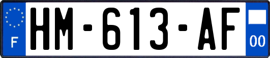 HM-613-AF