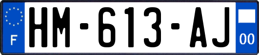 HM-613-AJ