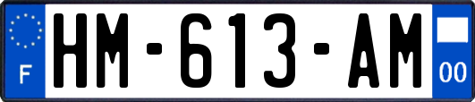 HM-613-AM