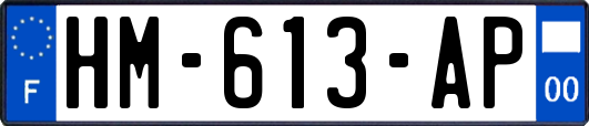 HM-613-AP