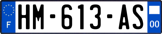 HM-613-AS
