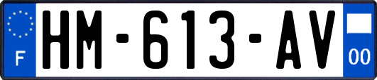 HM-613-AV