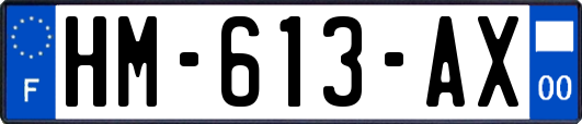 HM-613-AX