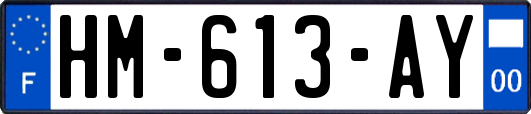 HM-613-AY