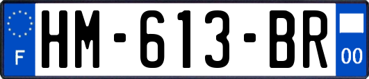 HM-613-BR