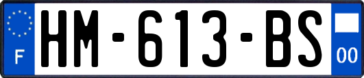HM-613-BS