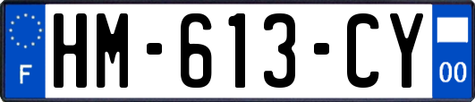 HM-613-CY