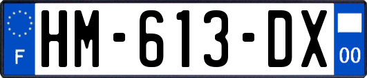 HM-613-DX