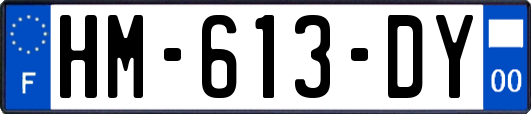 HM-613-DY