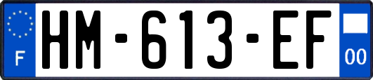 HM-613-EF