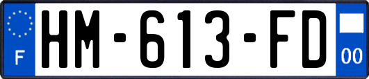 HM-613-FD